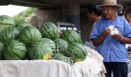 郴州网红吃瓜事件,揭秘网络舆论的风暴与真相